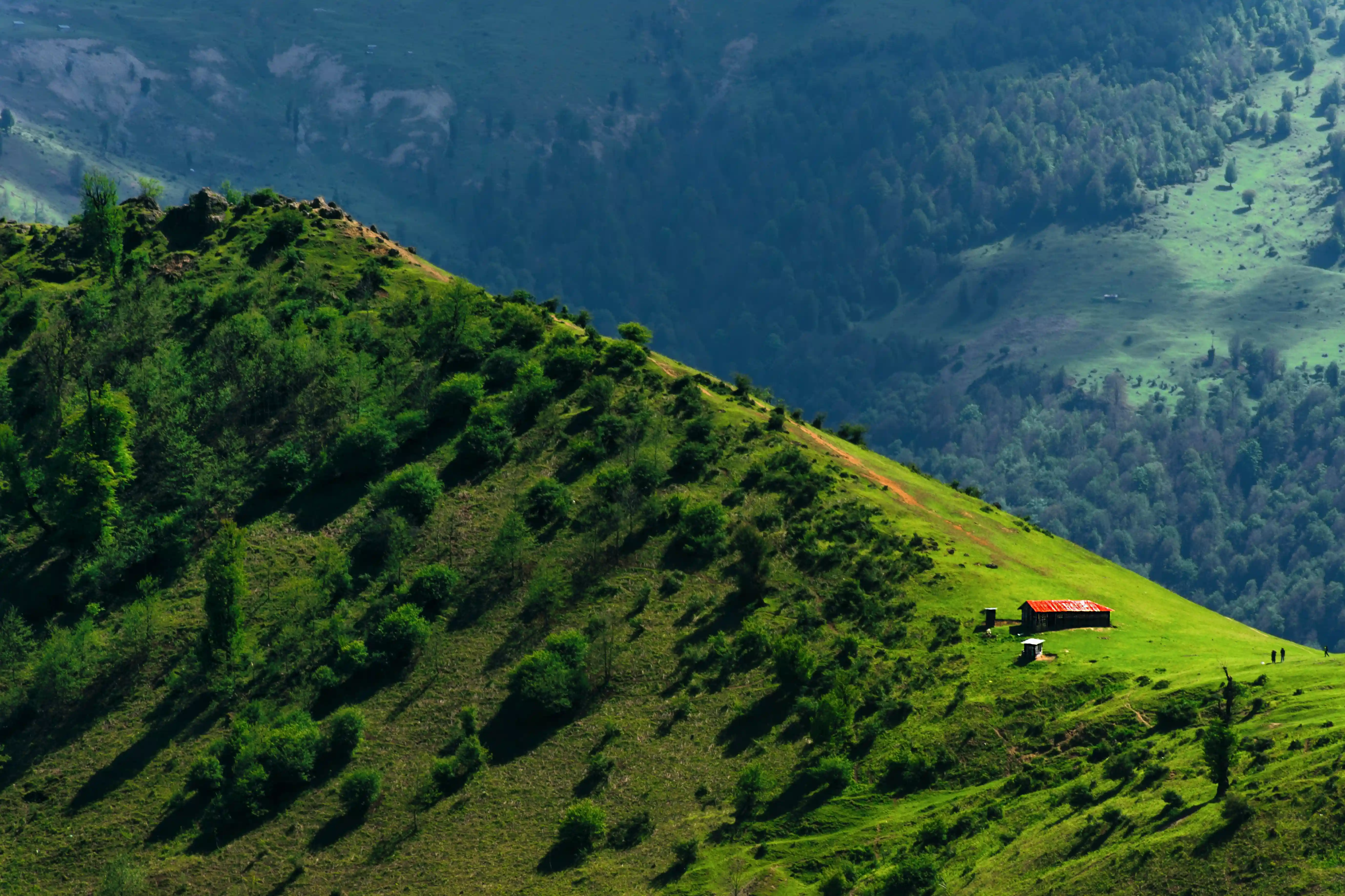 beautiful landscape of a mountain covered with trees in Iran